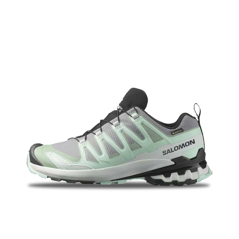 Salomon XA Pro 3D V9 GTX: Kadı - Salomon Shoes Xa Pro 3D incelemesi ve fiyatı